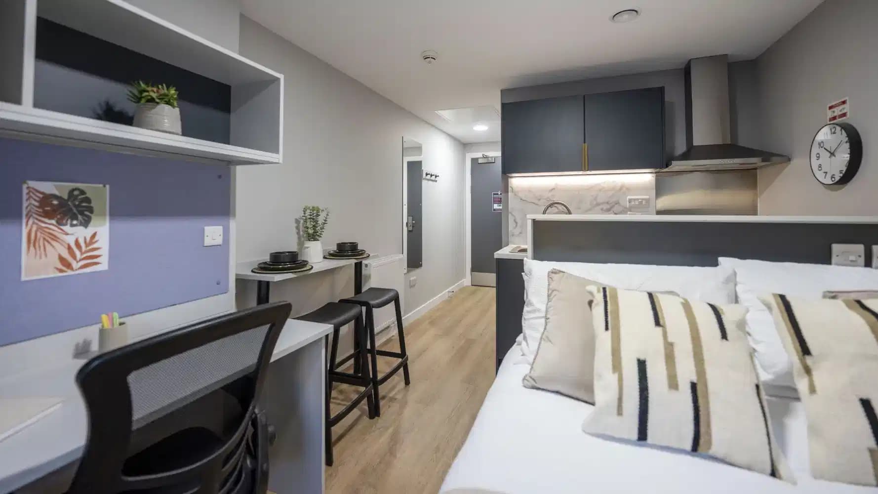 Classic Studio Plus - Image 3