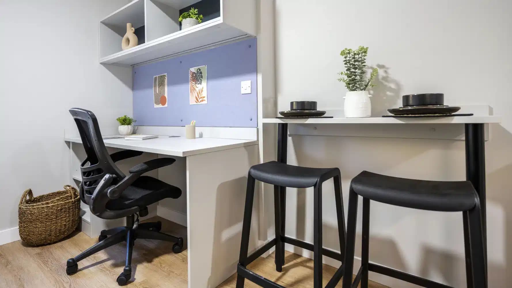 Classic Studio Plus - Image 5