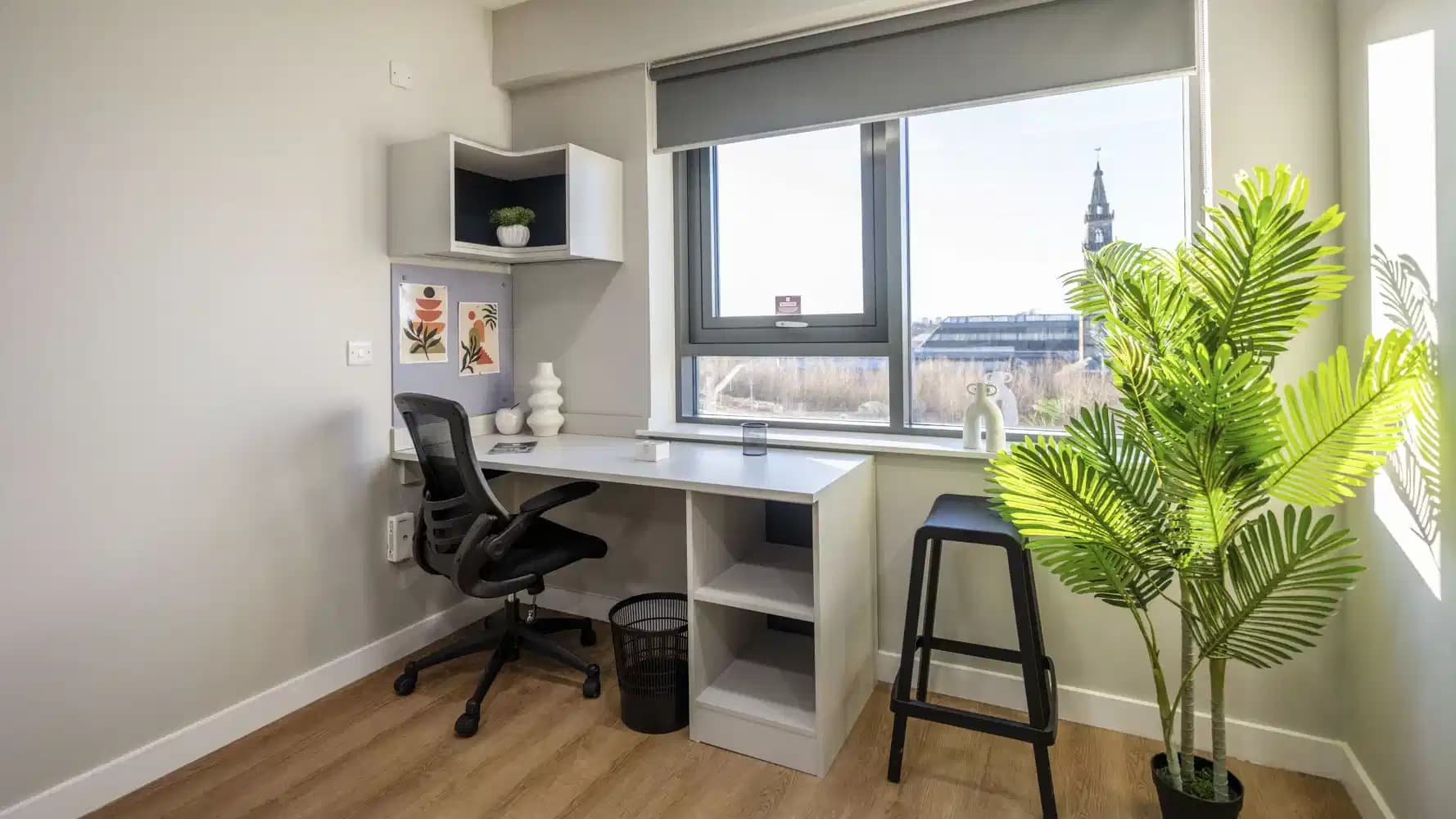 Superior Studio - Image 6