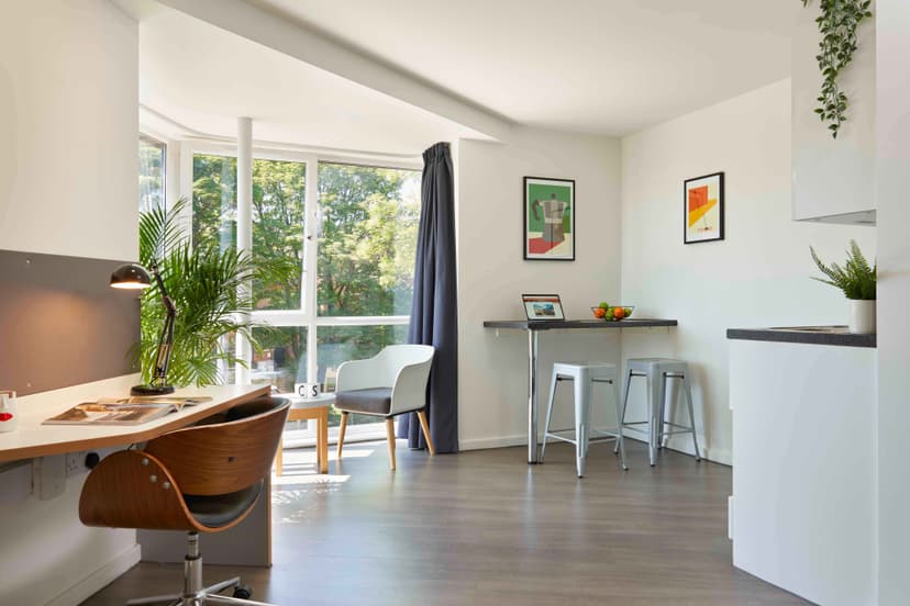 Platinum Studio Accessible - Image 2