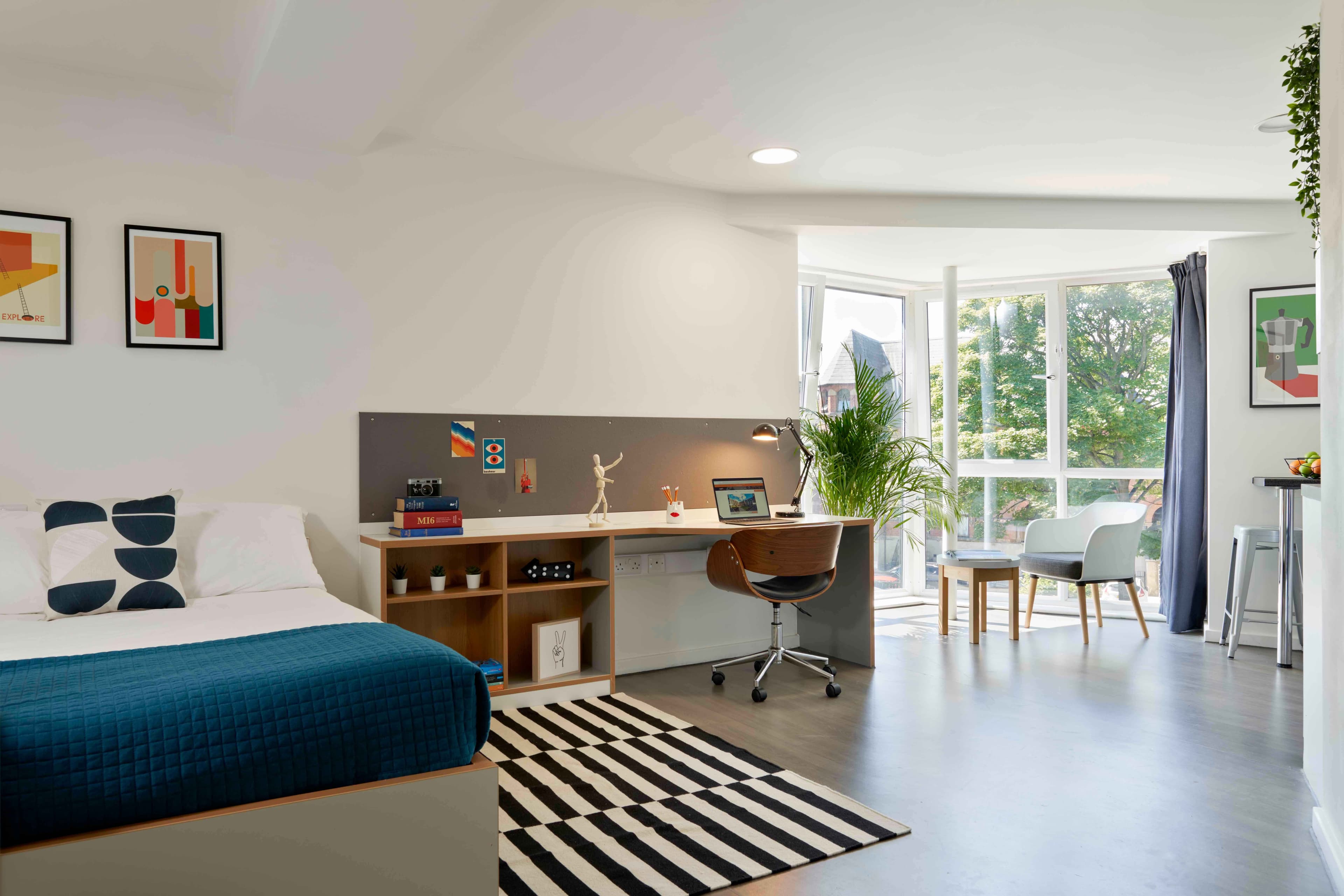 Platinum Studio Plus Accessible - Image 1