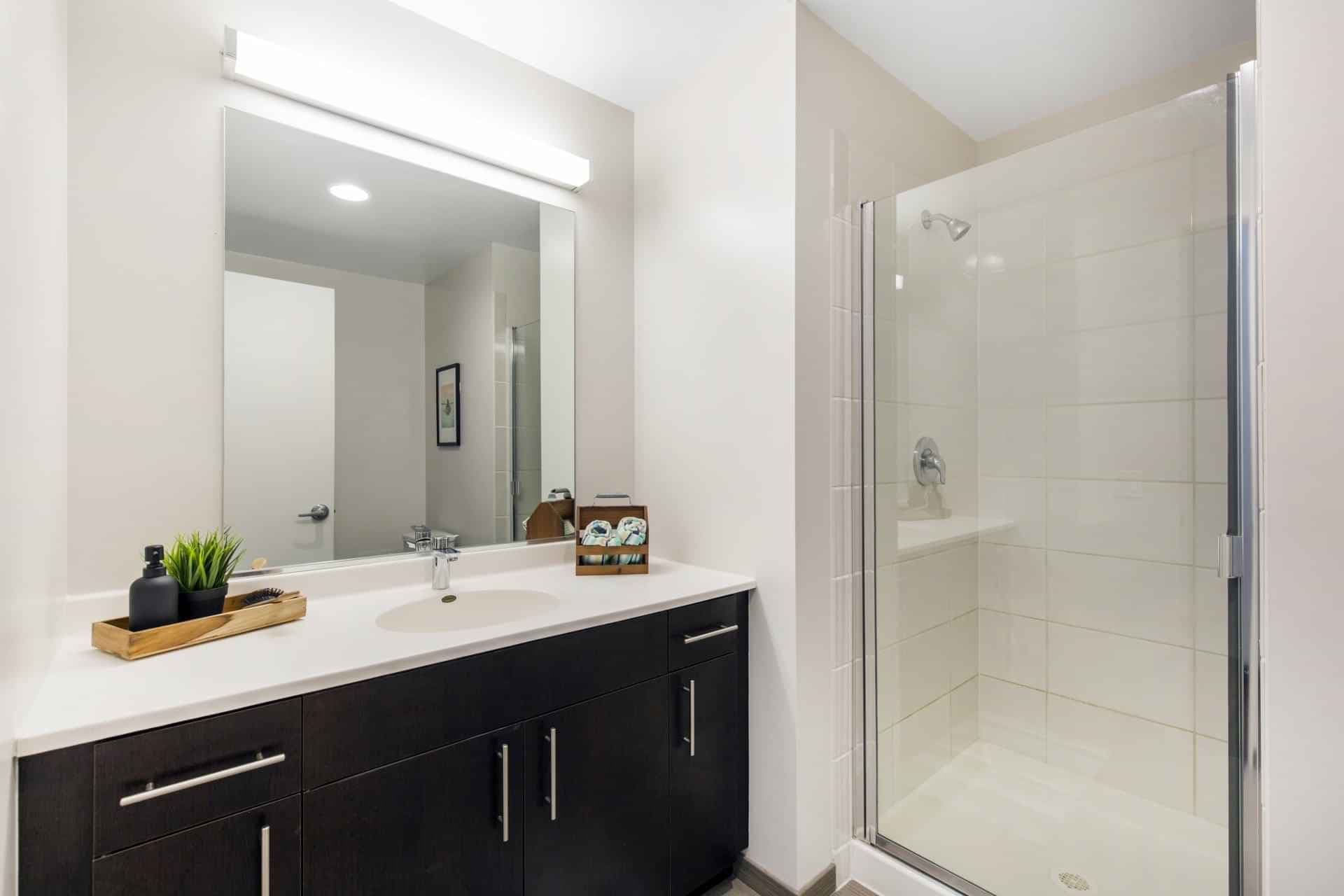 2 Bed 2 Bath (902 Sq.ft) - Image 5