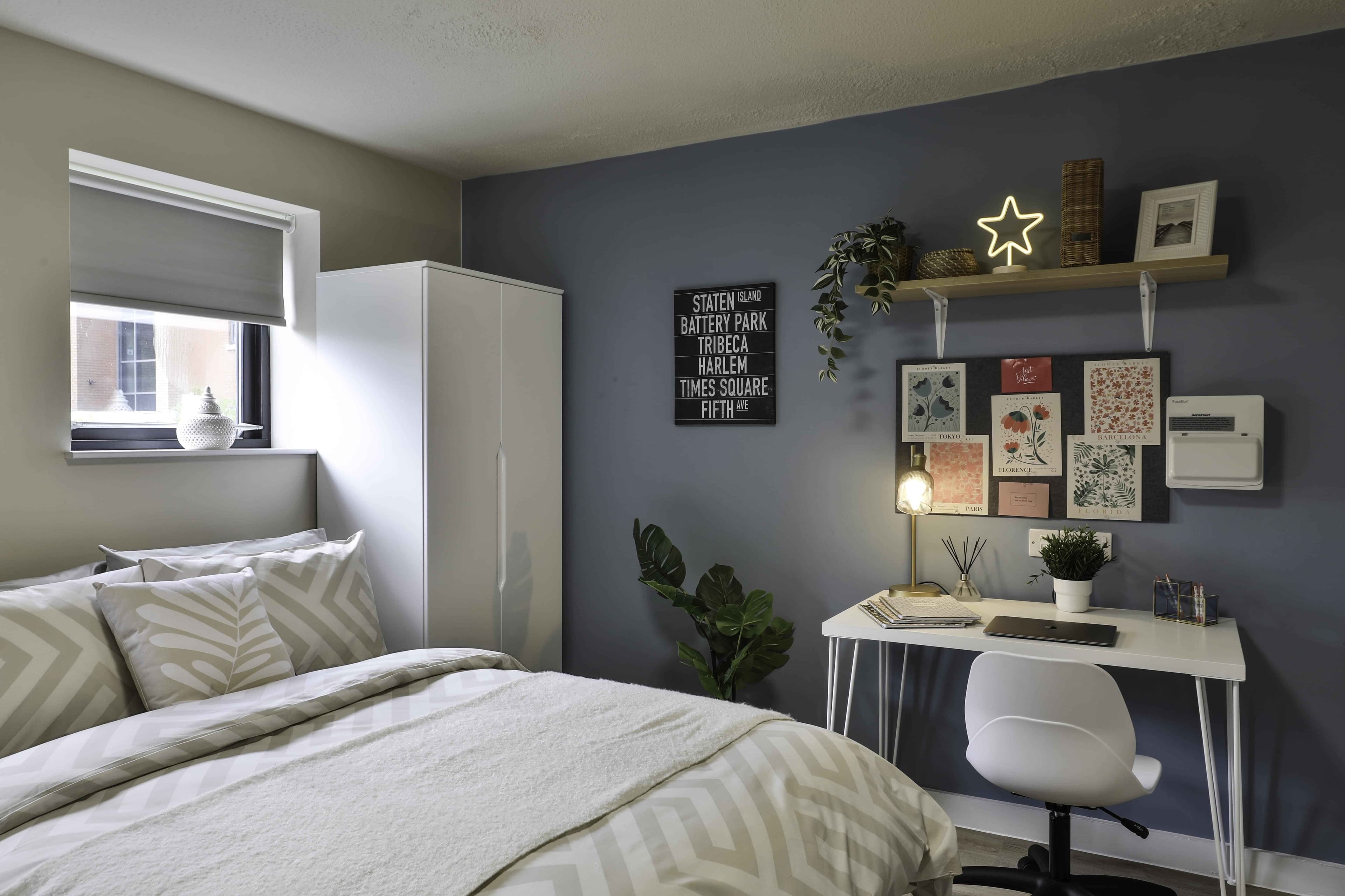 Silver Studio Plus - Image 3