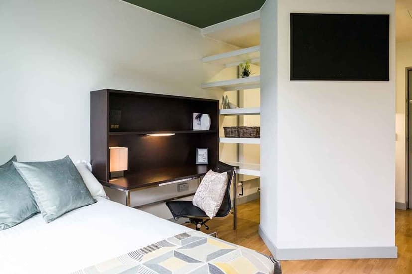 Platinum Studio Lower Level - Image 3