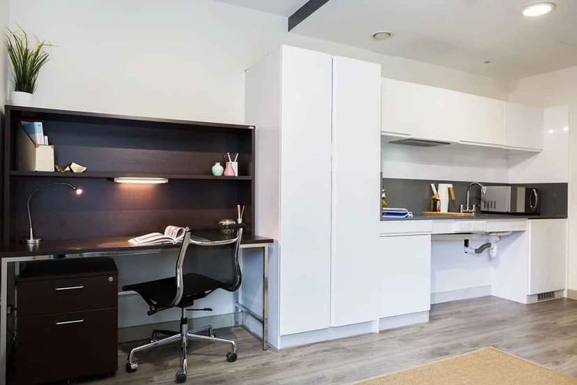 Platinum Studio Lower Level - Image 4