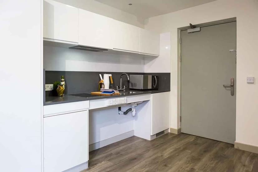 Platinum Studio Lower Level - Image 2