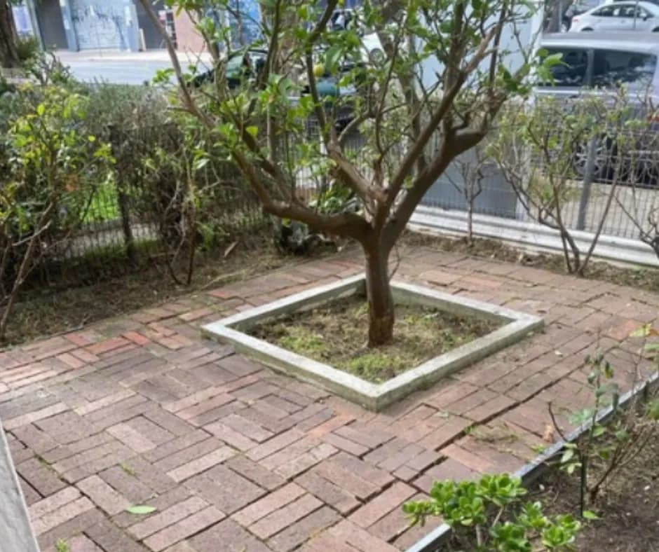 propertiesDetail image 14