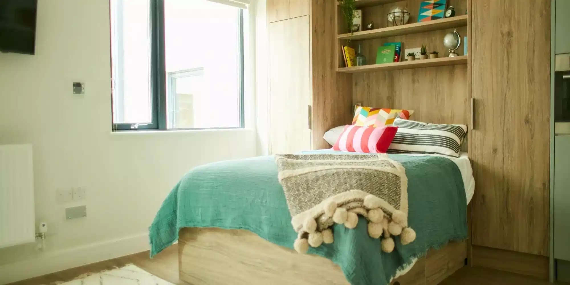 Exeter Elm, Exeter - 1